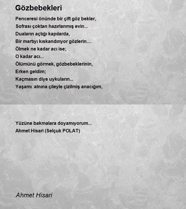 Ahmet Hisari