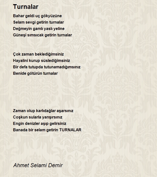 Ahmet Selami Demir