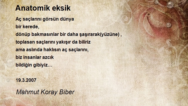 Mahmut Koray Biber