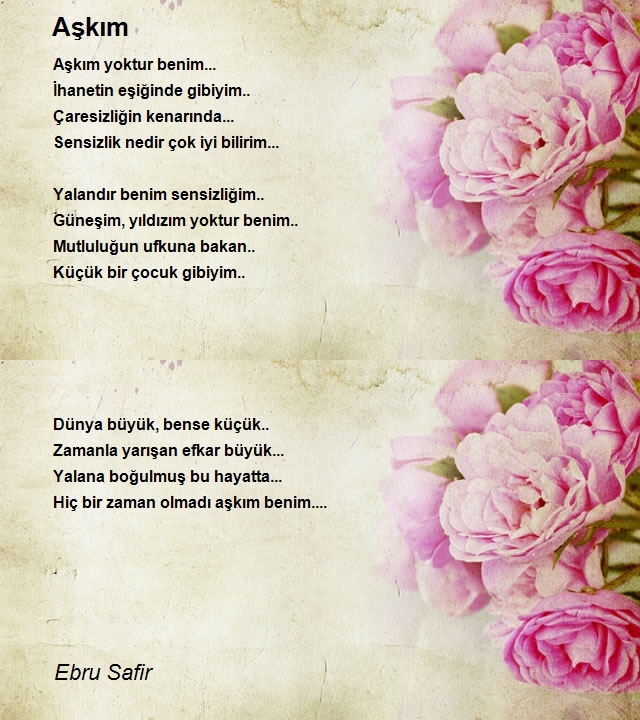 Ebru Safir