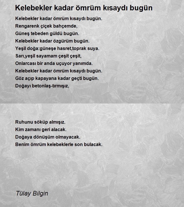 Tülay Bilgin