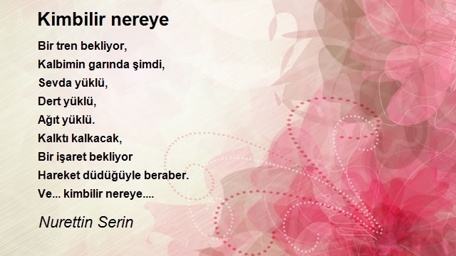 Nurettin Serin