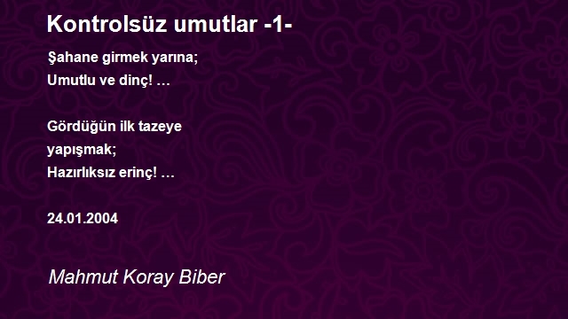 Mahmut Koray Biber