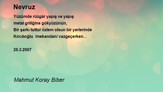 Mahmut Koray Biber