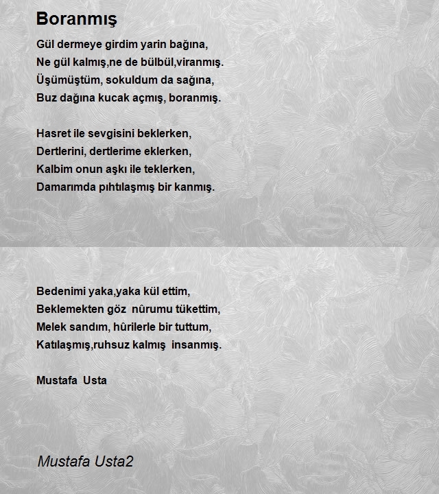 Mustafa Usta2