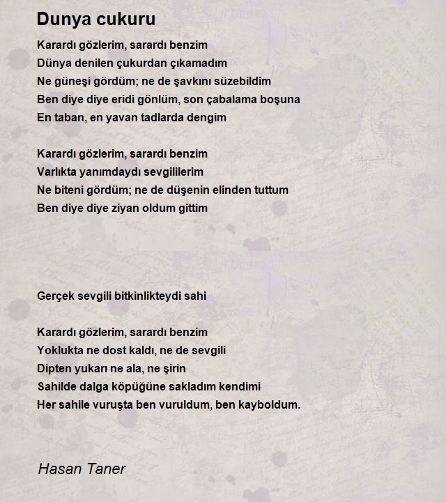 Hasan Taner