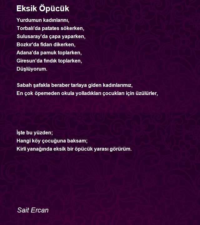 Sait Ercan