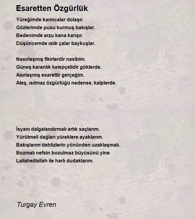 Turgay Evren