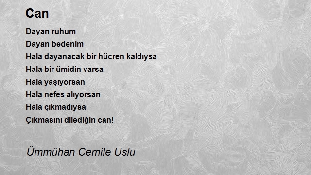 Ümmühan Cemile Uslu