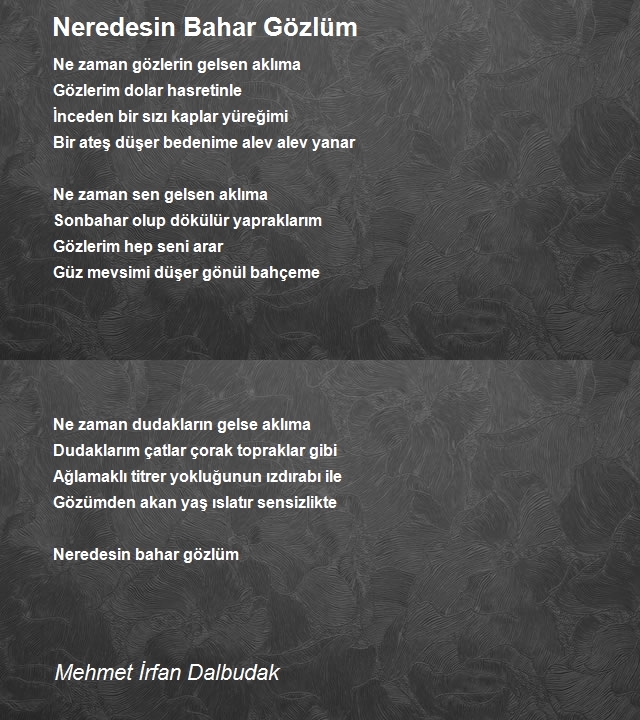 Mehmet İrfan Dalbudak