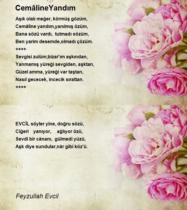 Feyzullah Evcil