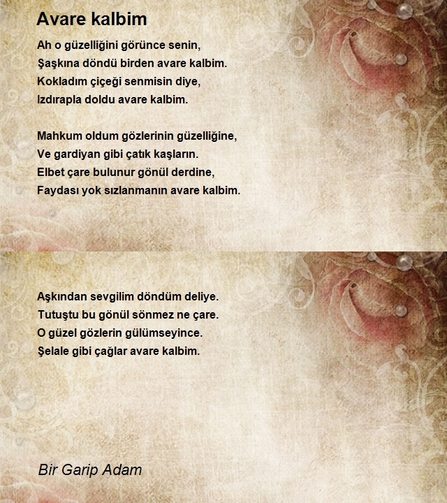 Bir Garip Adam