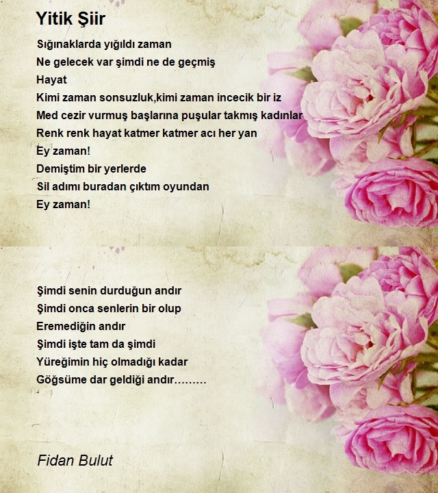 Fidan Bulut