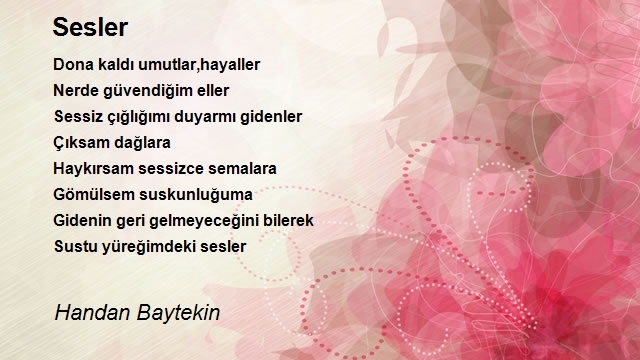 Handan Baytekin