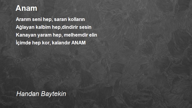 Handan Baytekin