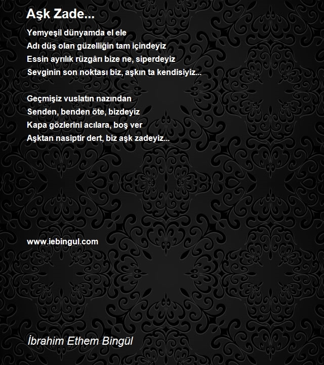 İbrahim Ethem Bingül