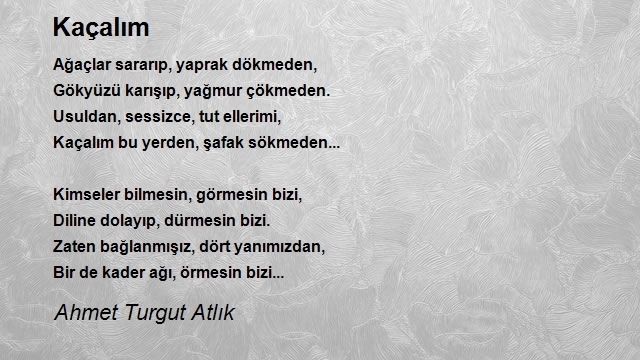 Ahmet Turgut Atlık