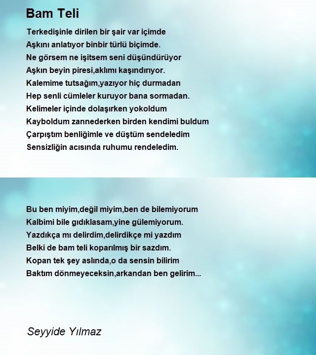 Seyyide Yılmaz