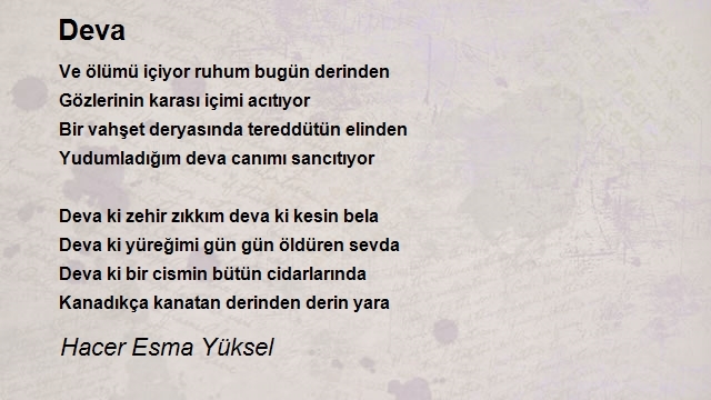 Hacer Esma Yüksel