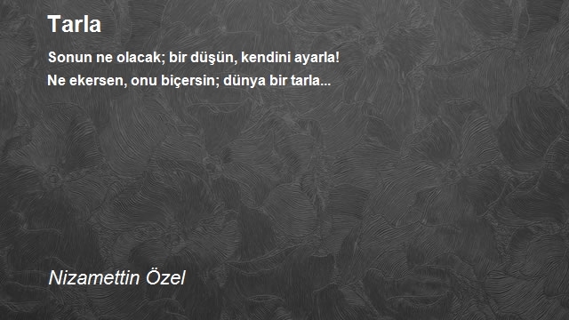 Nizamettin Özel