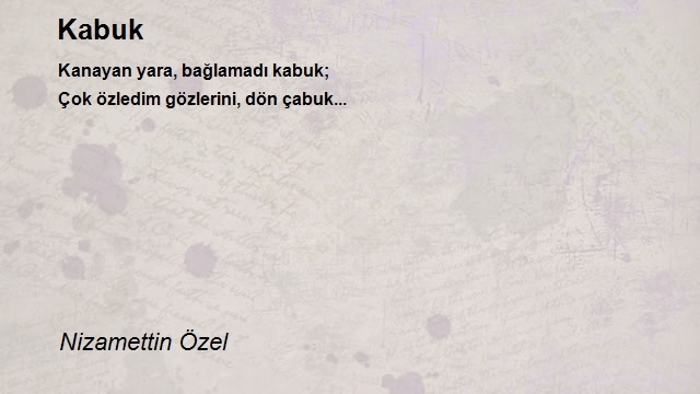 Nizamettin Özel