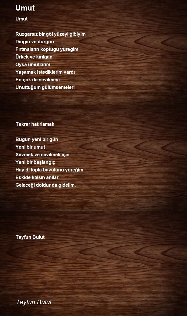 Tayfun Bulut