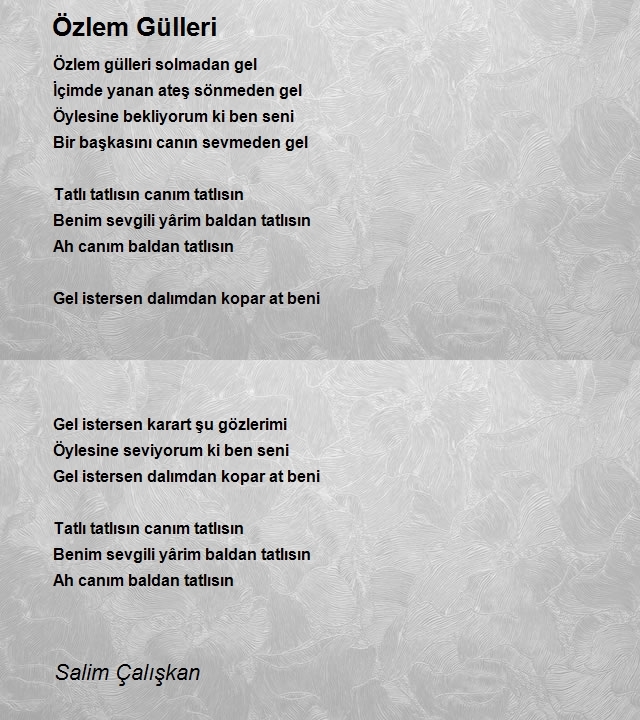 Salim Çalışkan