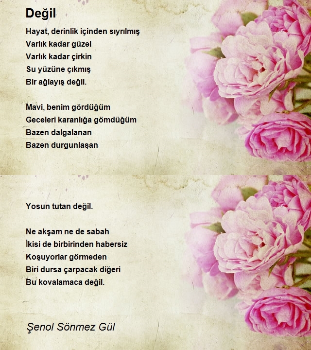 Şenol Sönmez Gül