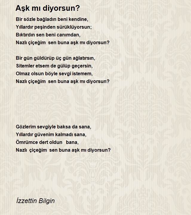 İzzettin Bilgin 