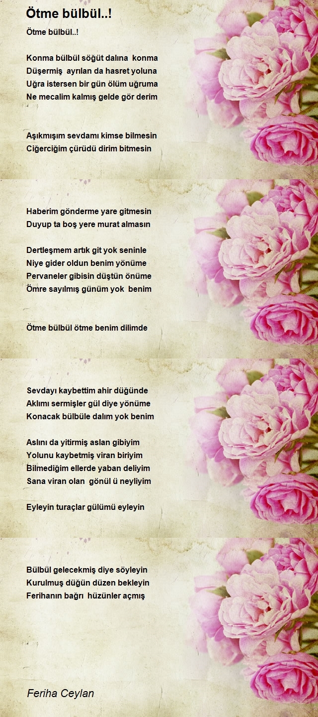 Feriha Ceylan