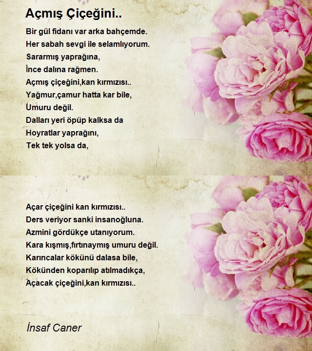 İnsaf Caner