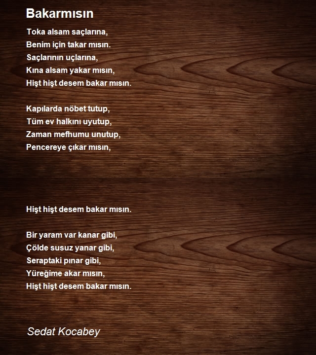 Sedat Kocabey