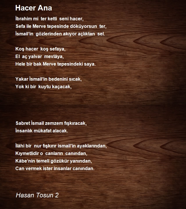 Hasan Tosun 2