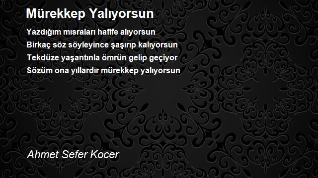 Ahmet Sefer Kocer