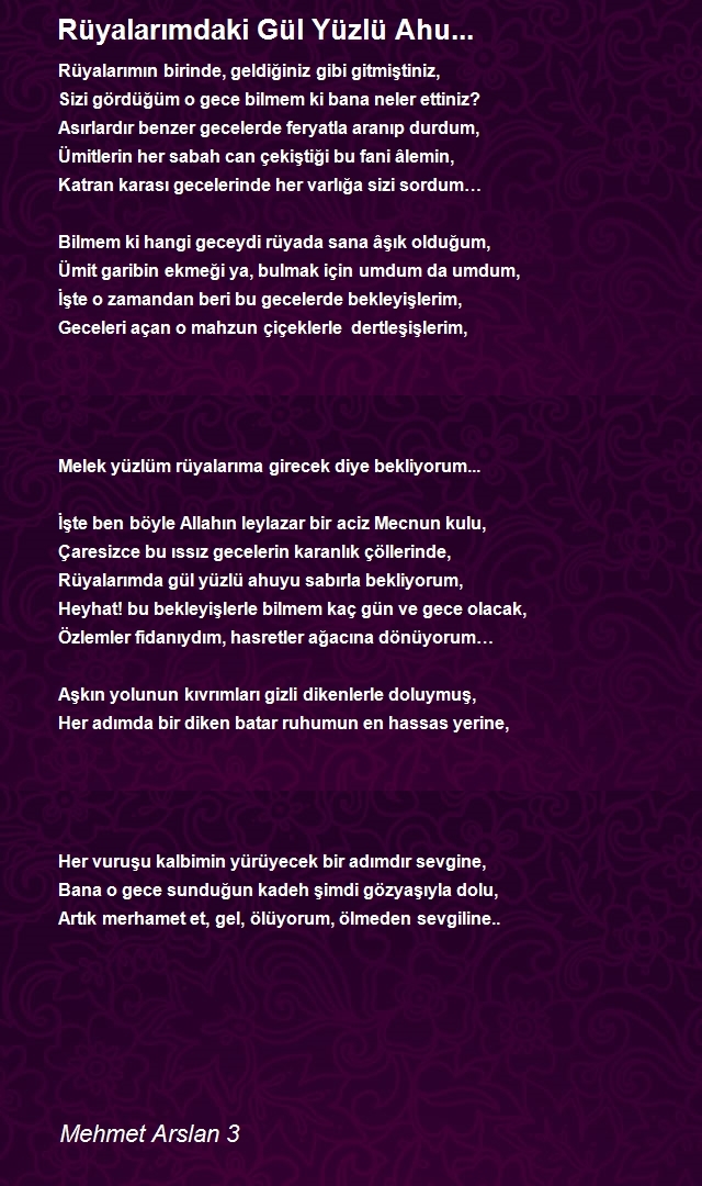 Mehmet Arslan 3