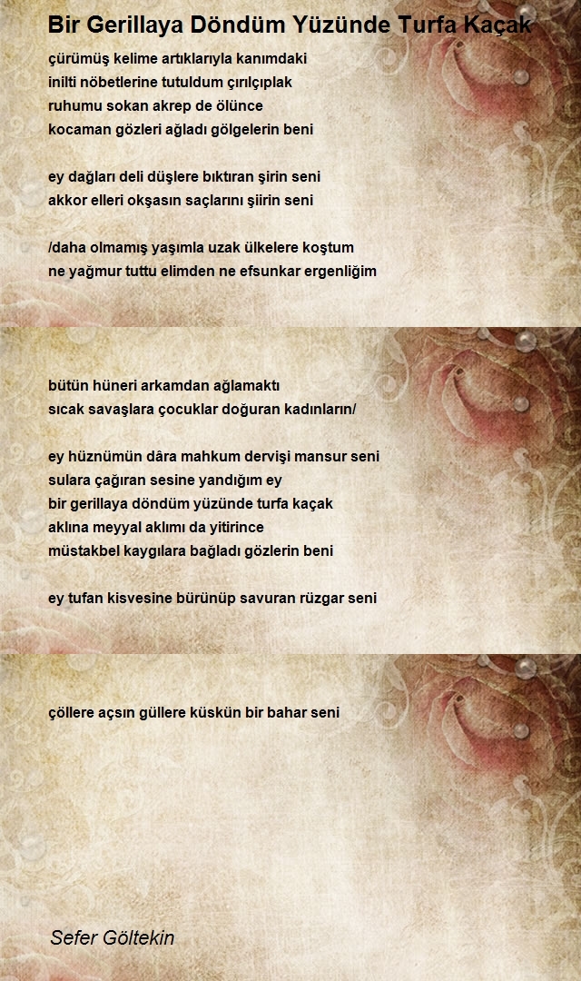 Sefer Göltekin