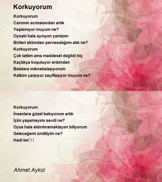 Ahmet Aykol