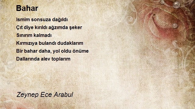 Zeynep Ece Arabul