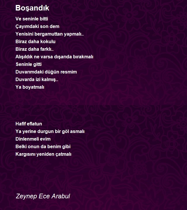 Zeynep Ece Arabul