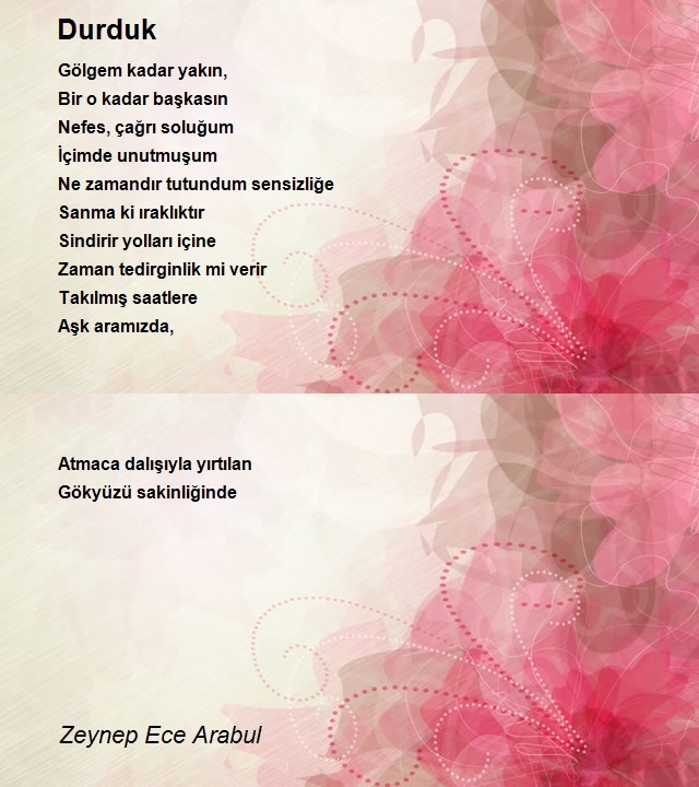 Zeynep Ece Arabul