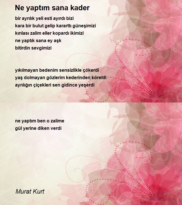 Murat Kurt