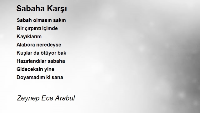 Zeynep Ece Arabul