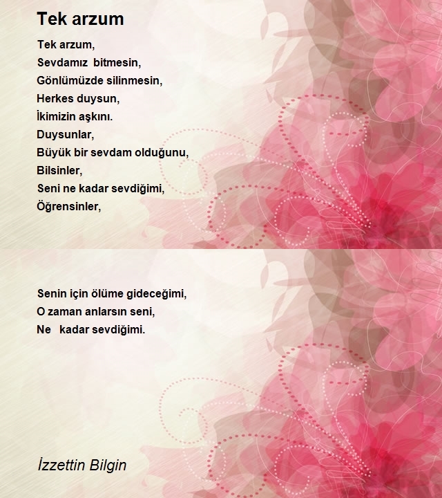 İzzettin Bilgin 