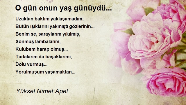 Yüksel Nimet Apel