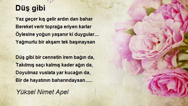 Yüksel Nimet Apel