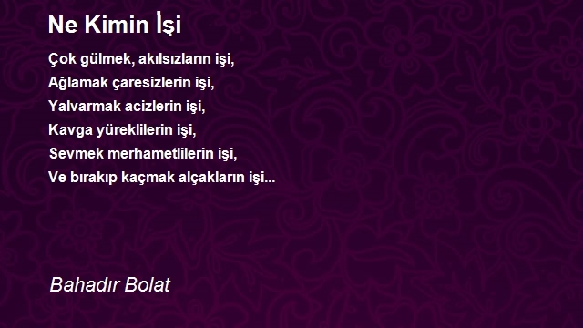 Bahadır Bolat