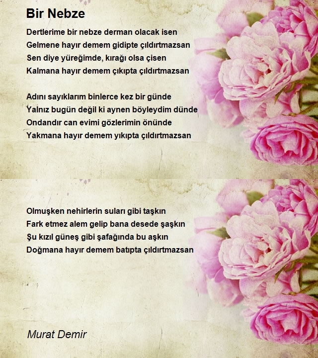 Murat Demir