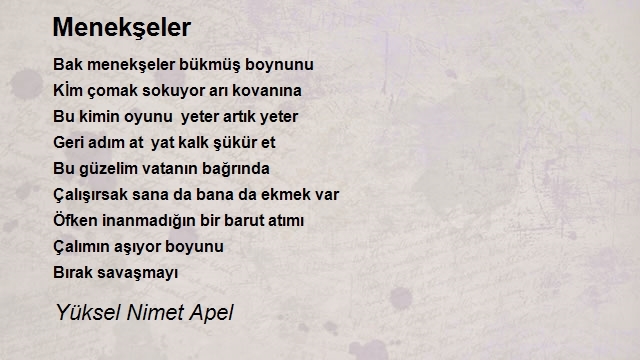 Yüksel Nimet Apel