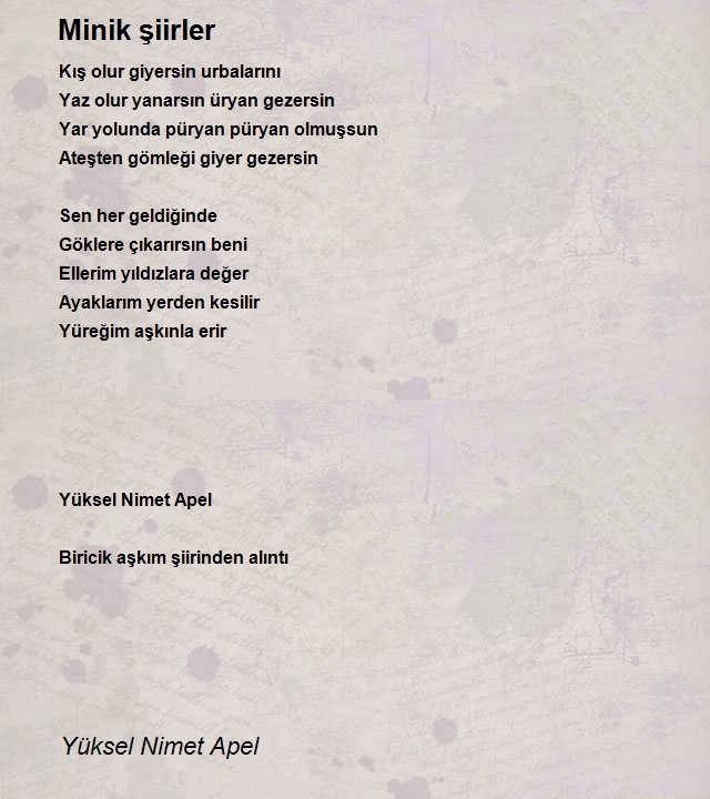 Yüksel Nimet Apel