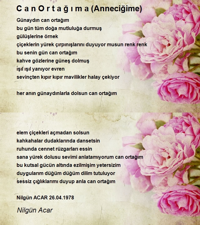 Nilgün Acar 